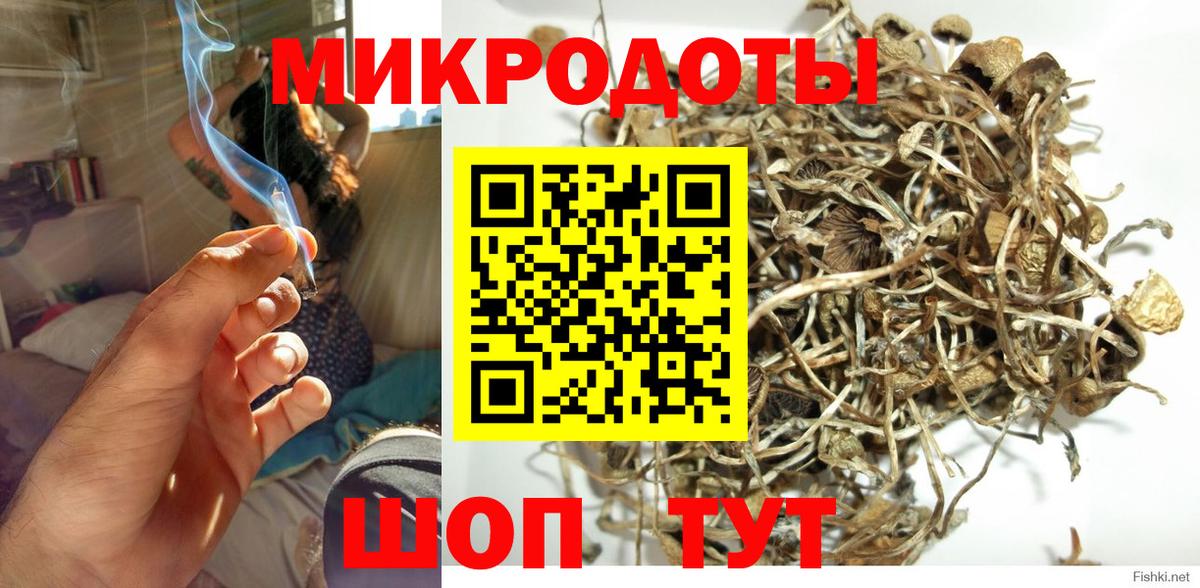 Псилоцибиновые грибы мицелий  Вход с VPN  где можно купить наркотик  Торжок 