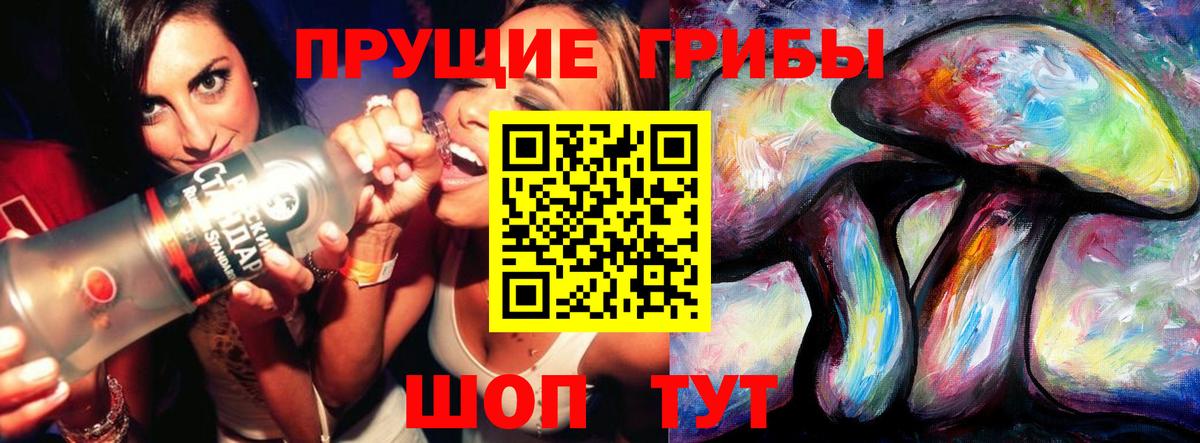 Галлюциногенные грибы Psilocybe Торжок